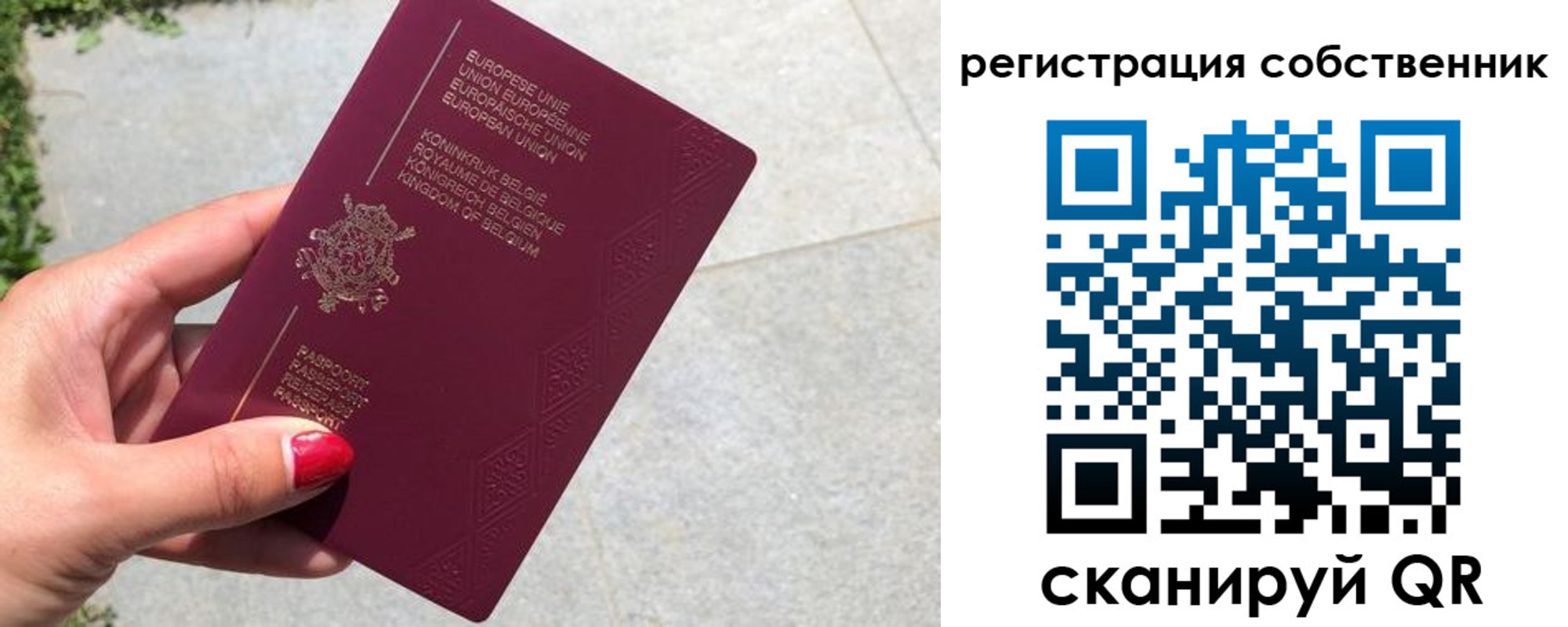временная регистрация поиск в Брянской области